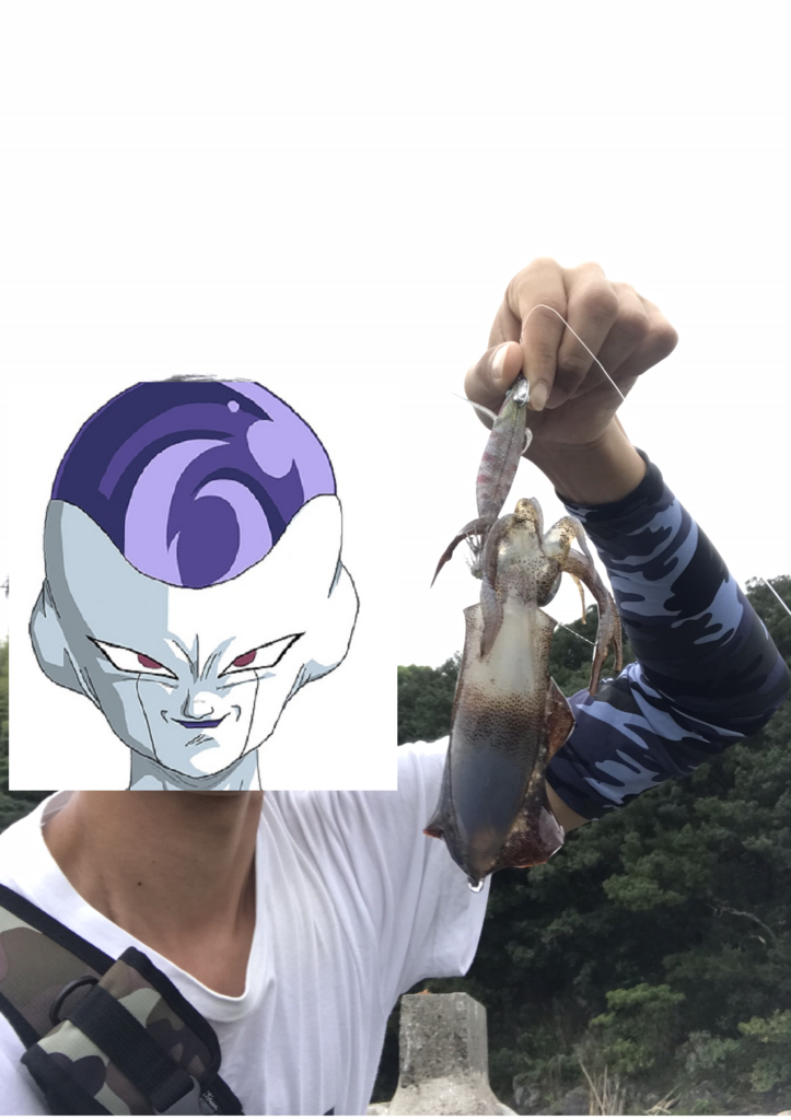 f:id:kkenji0:20181230001741p:plain f:id:kkenji0:20181230001741p:plain
