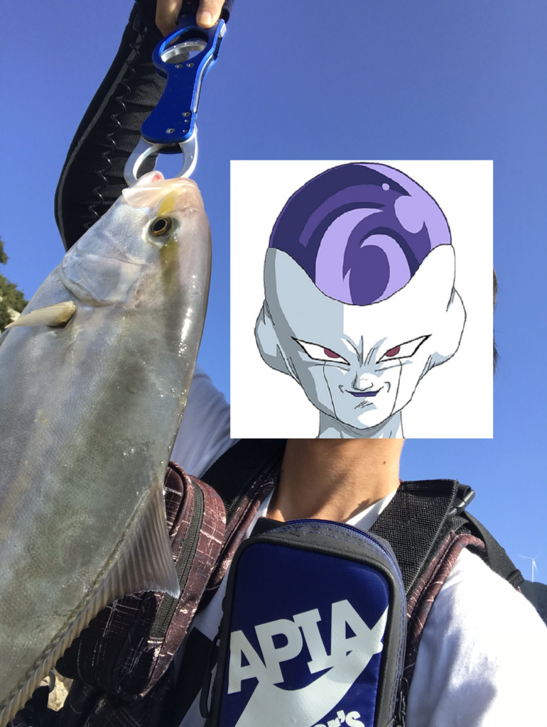 f:id:kkenji0:20181231203732p:plain f:id:kkenji0:20181231203732p:plain
