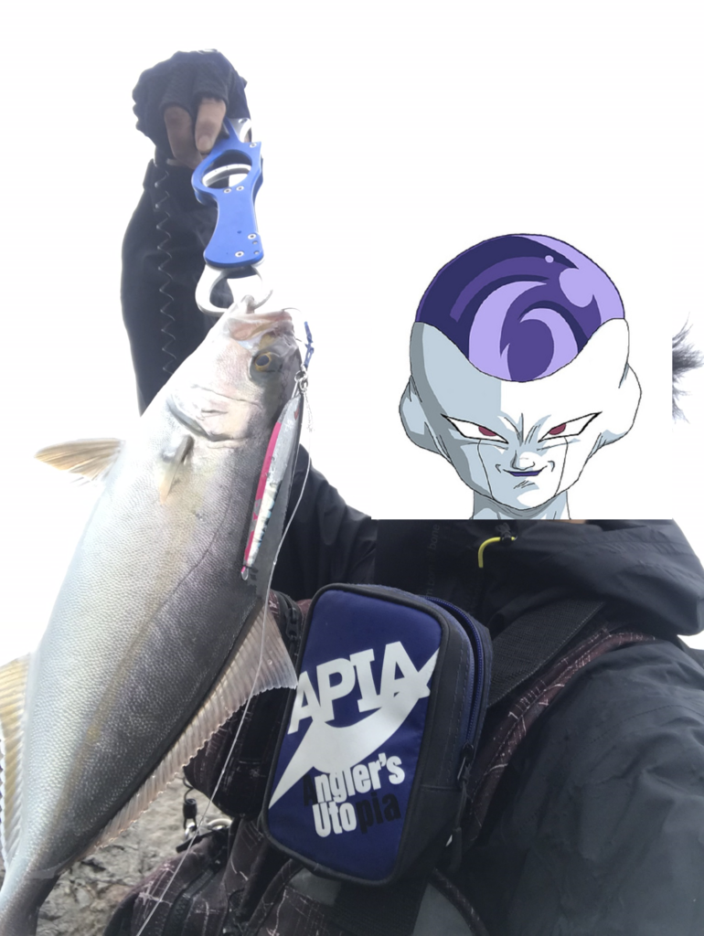 f:id:kkenji0:20181231204841p:plain f:id:kkenji0:20181231204841p:plain