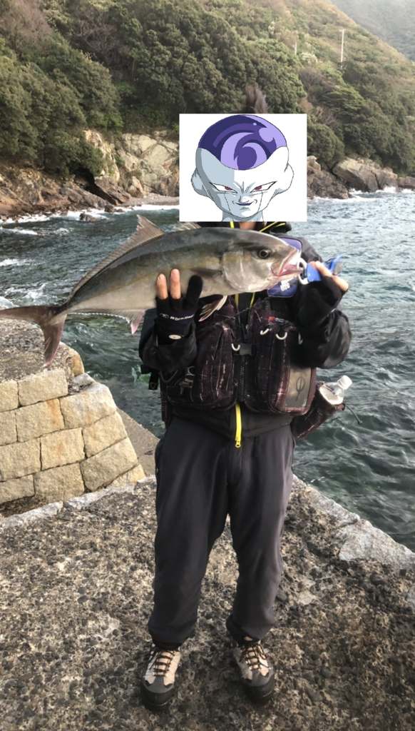 f:id:kkenji0:20181231211925p:plain f:id:kkenji0:20181231211925p:plain