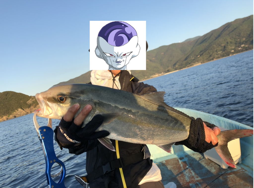 f:id:kkenji0:20181231213415p:plain f:id:kkenji0:20181231213415p:plain