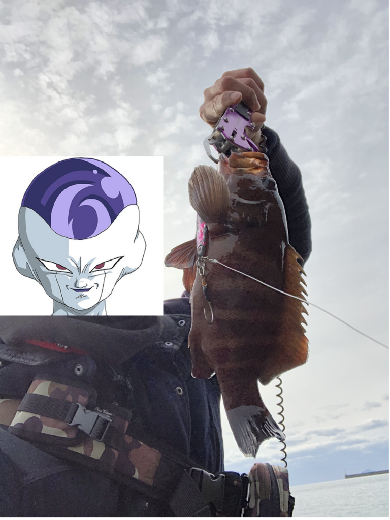 f:id:kkenji0:20181231221308p:plain f:id:kkenji0:20181231221308p:plain