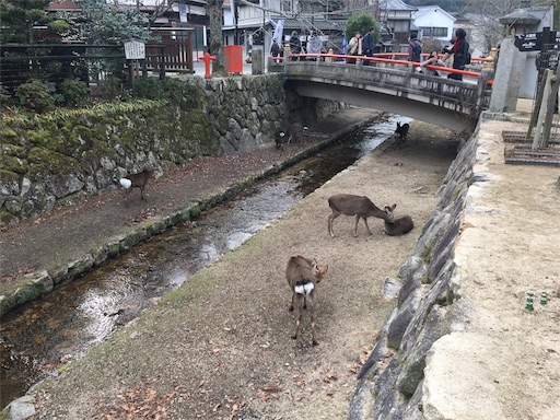 f:id:kkichikk:20171223181415j:image