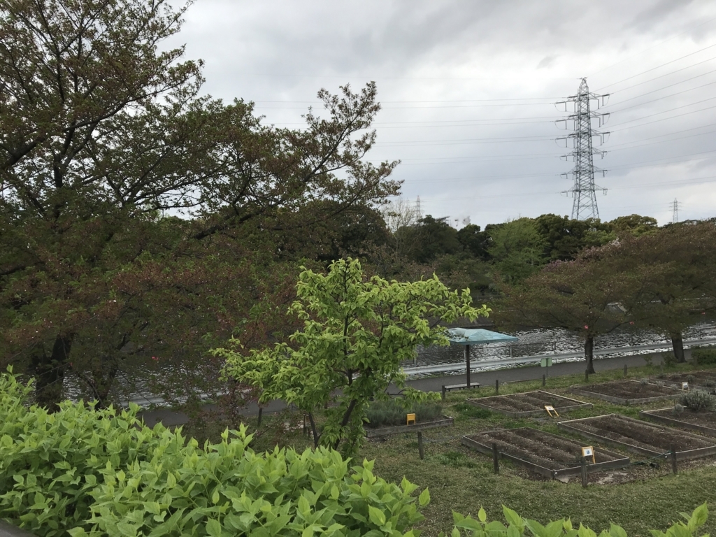 f:id:kkkara00atama:20180407230120j:plain f:id:kkkara00atama:20180407230120j:plain