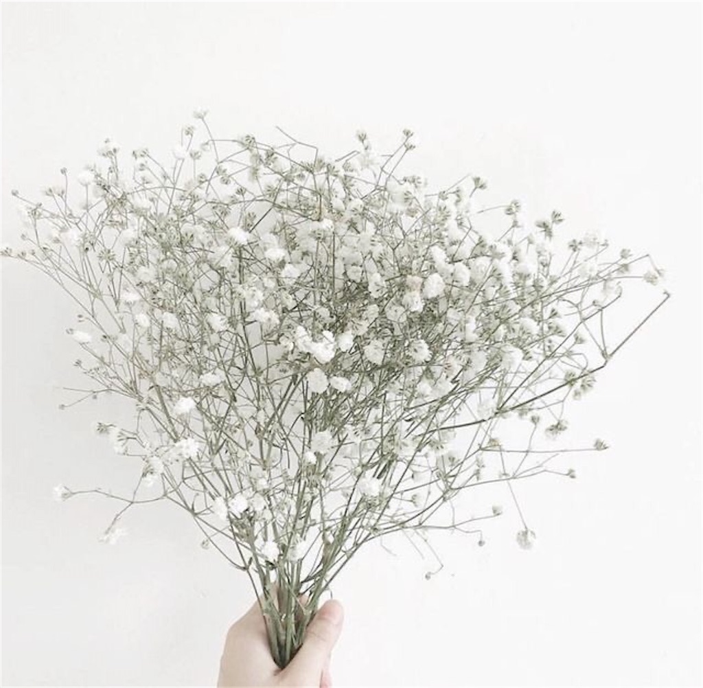 f:id:kkminmin:20200804203725j:image