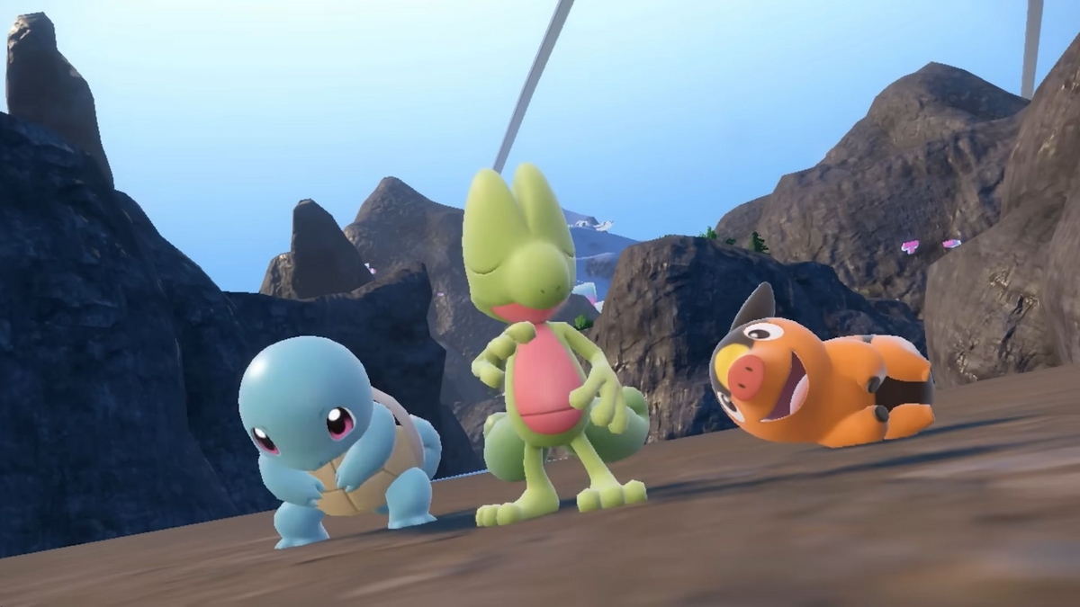 ◇ポカブ 1種 ◇ポケットモンスター ベストウイッシュ