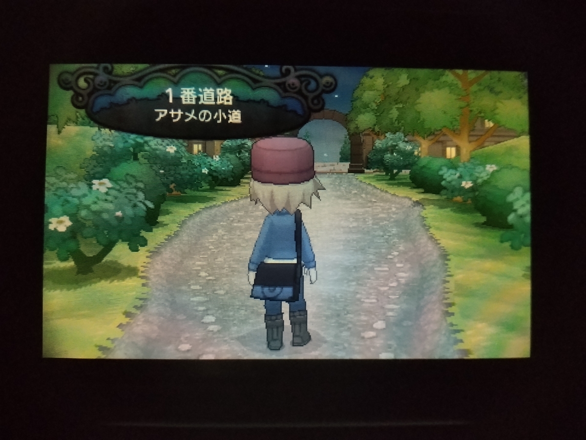 X』復習プレイ日記2025①（最初のポケモンと図鑑を受け取った