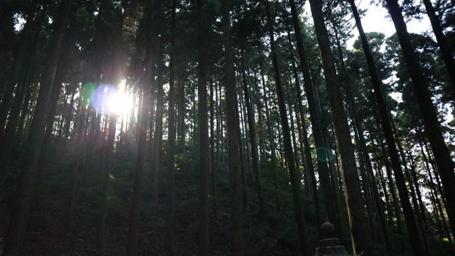 f:id:kknskkns:20201013113703j:plain