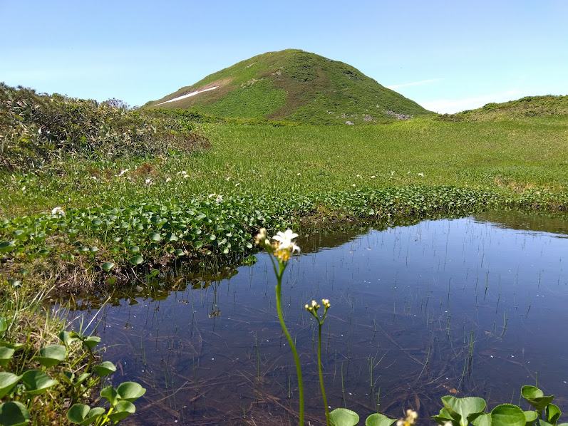 池塘の先に焼石岳_20250629