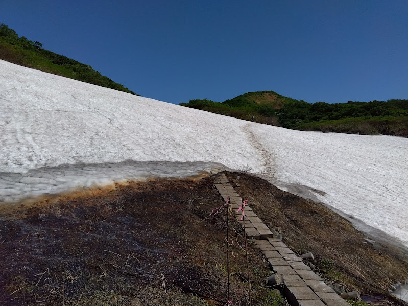 焼石岳の雪渓_20250629