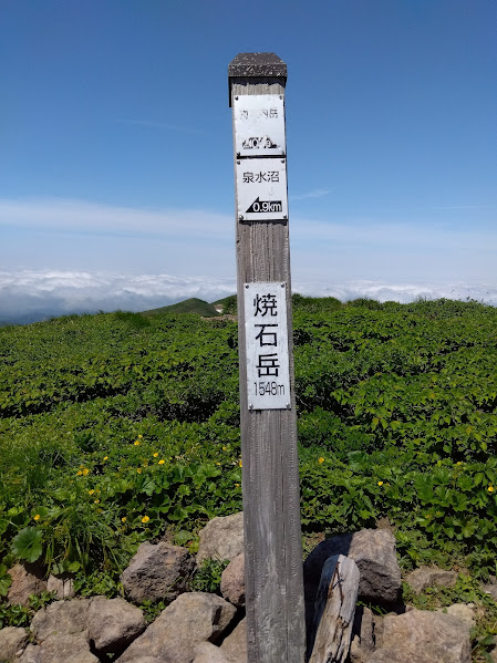 焼石岳山頂_20250629
