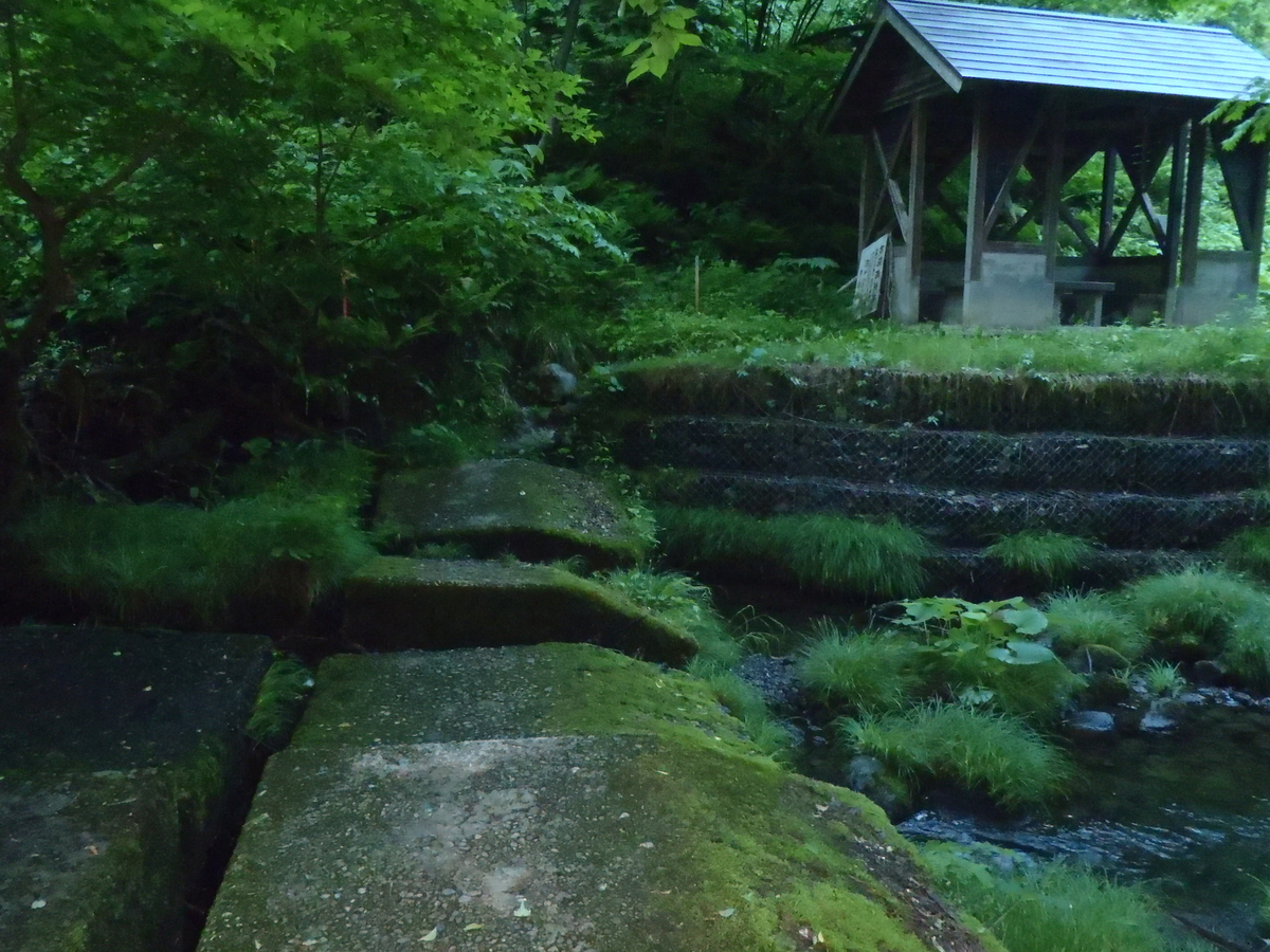 金山滝登山口２_20260531
