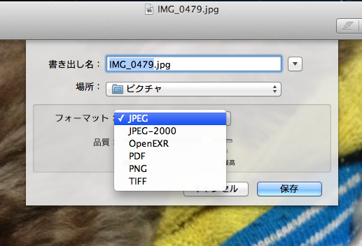 f:id:kkotaro0111:20120929002217p:image:w360:right f:id:kkotaro0111:20120929002217p:image:w360:right