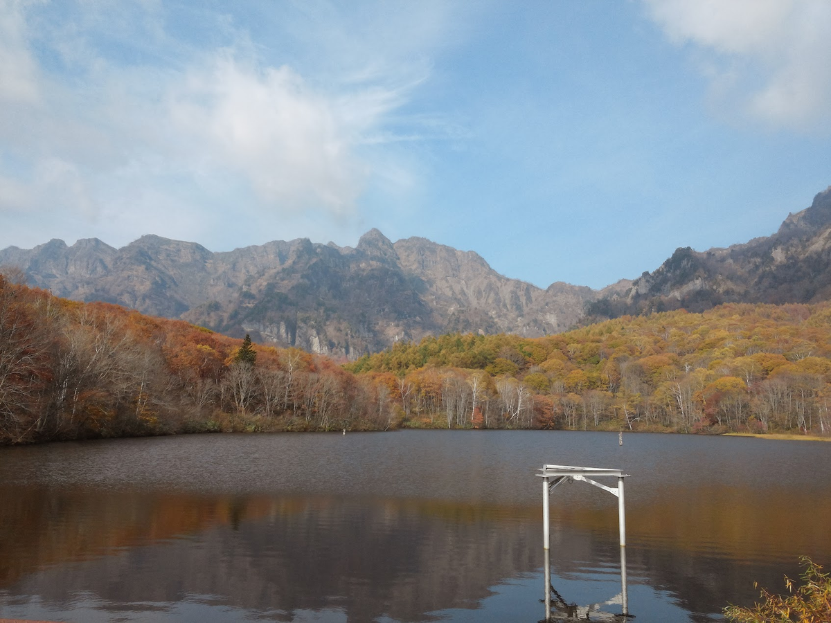 f:id:kkotyy:20211207211427p:plain