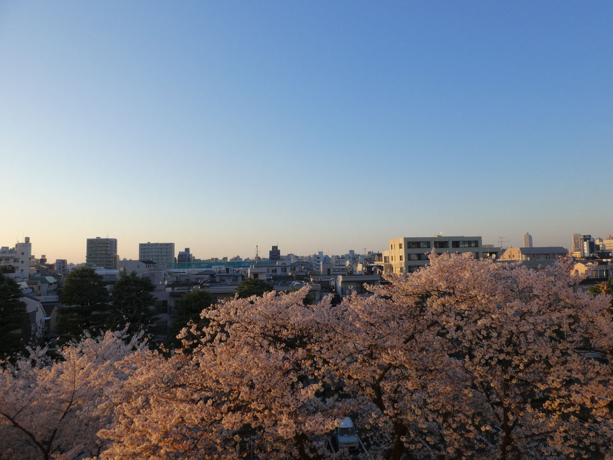 f:id:kksscif:20190415012311j:plain