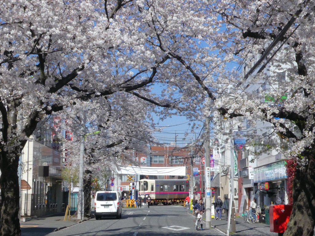 f:id:kksscif:20190415013320j:plain