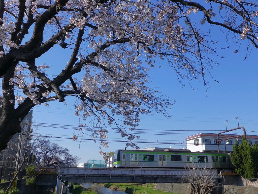f:id:kksscif:20190415013447j:plain
