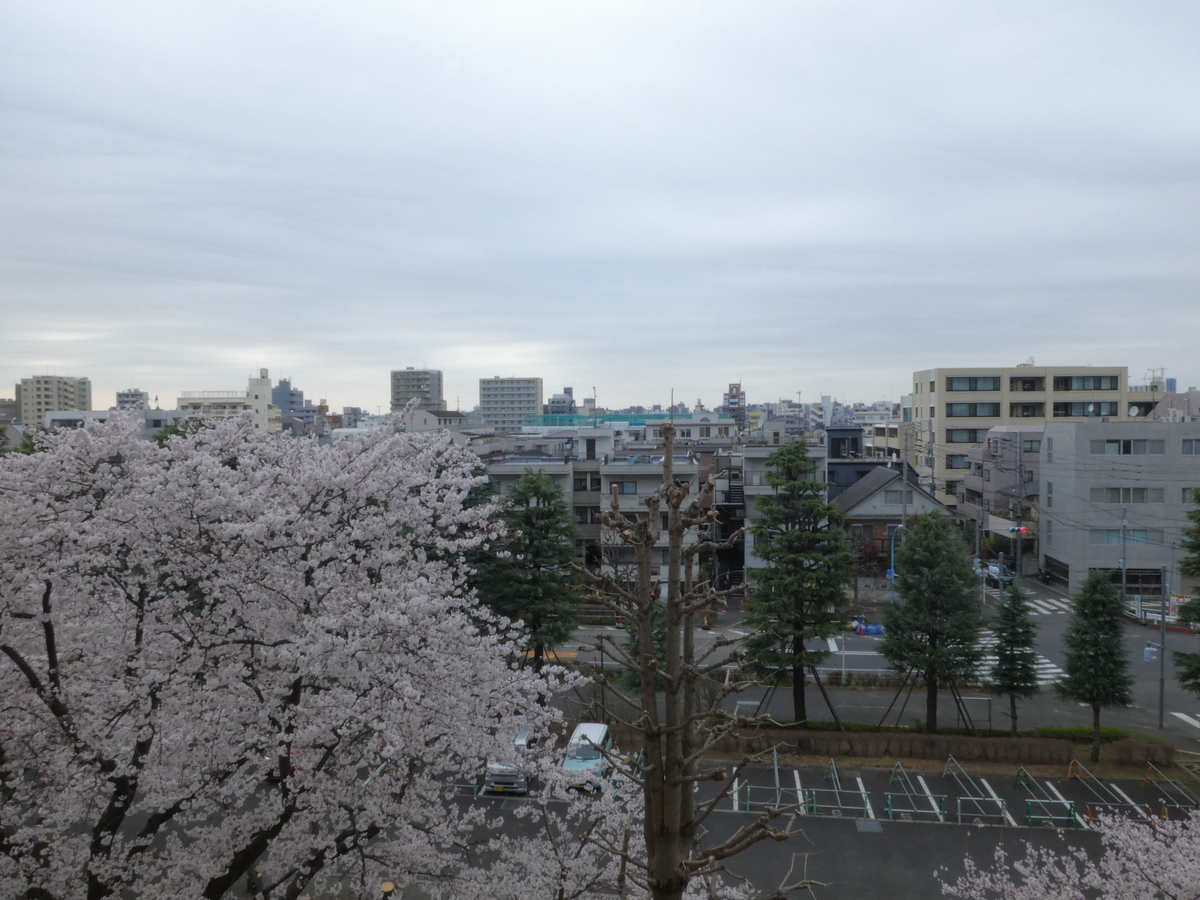 f:id:kksscif:20190415022138j:plain