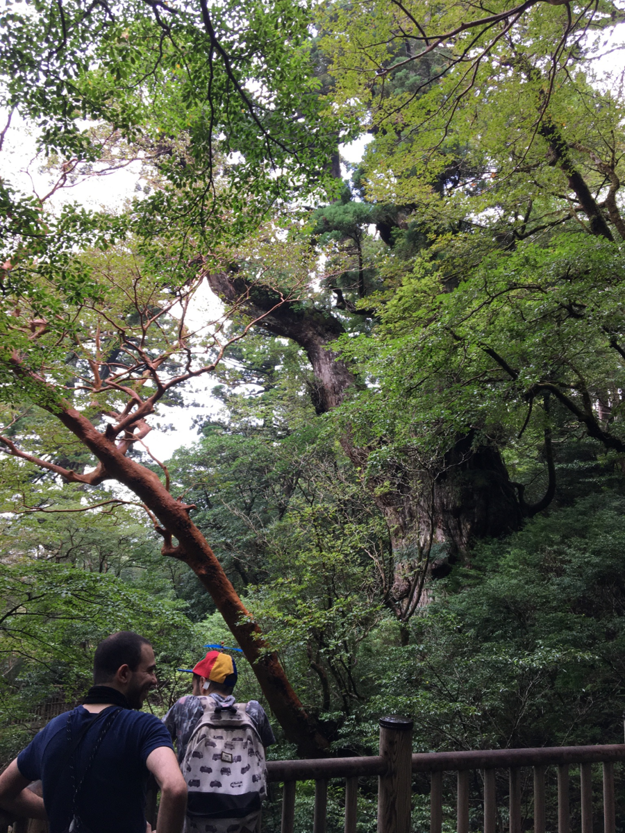 f:id:kktabi:20201009104300p:plain