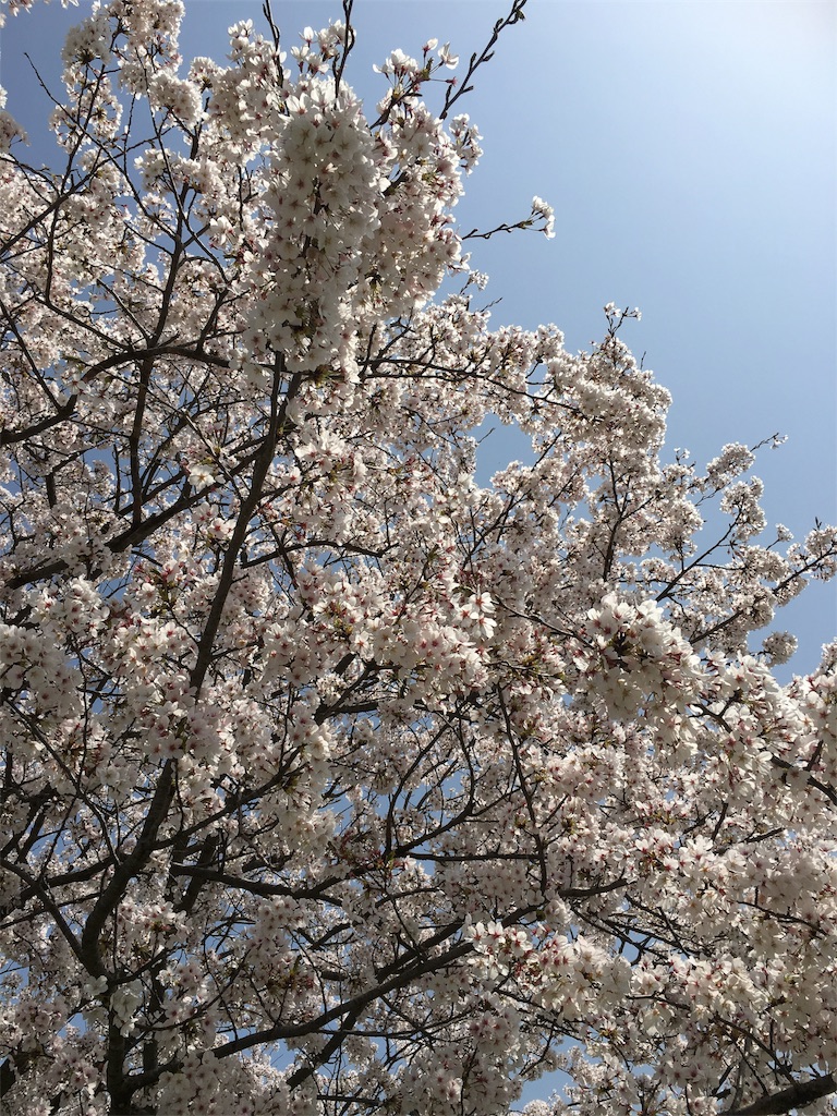 f:id:kkuroda32:20180330232228j:image