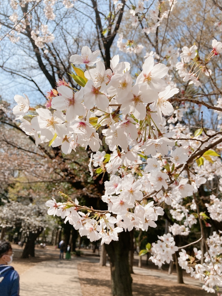 f:id:kkuzuu:20210328074432j:plain