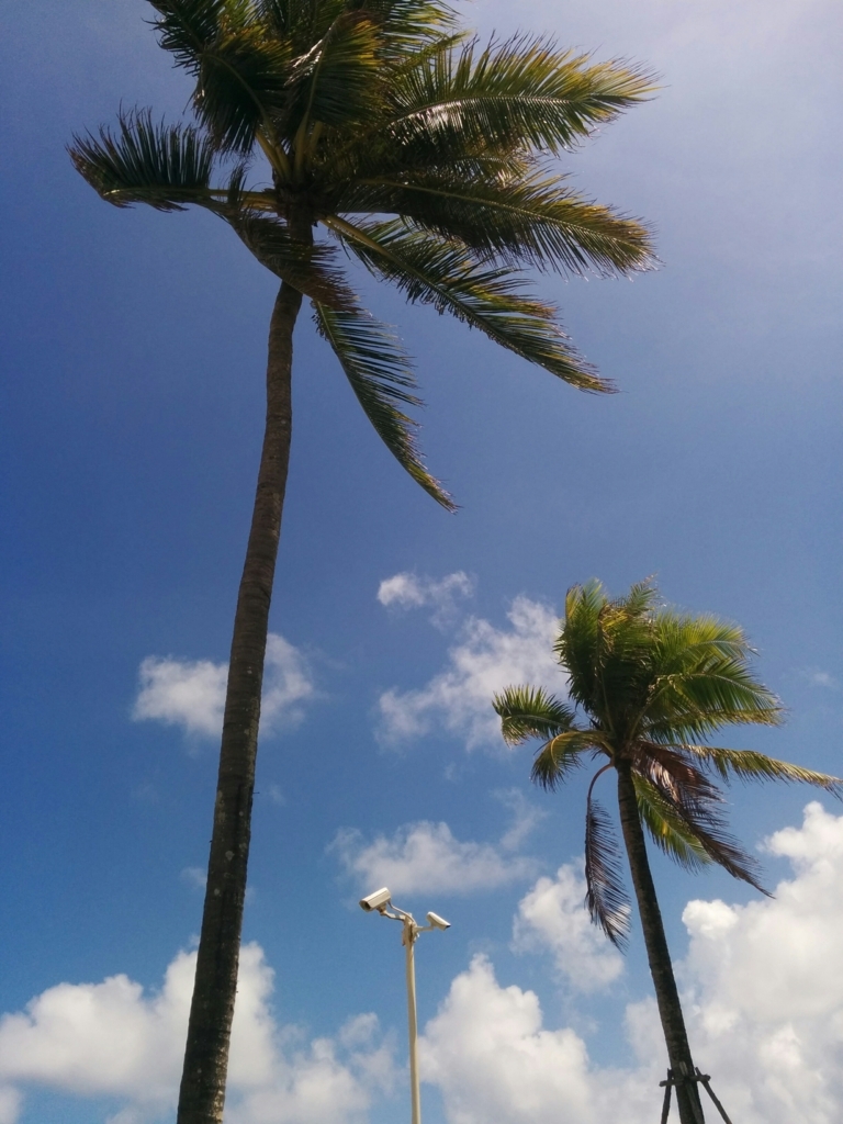 f:id:kkv:20180512221012j:plain f:id:kkv:20180512221012j:plain