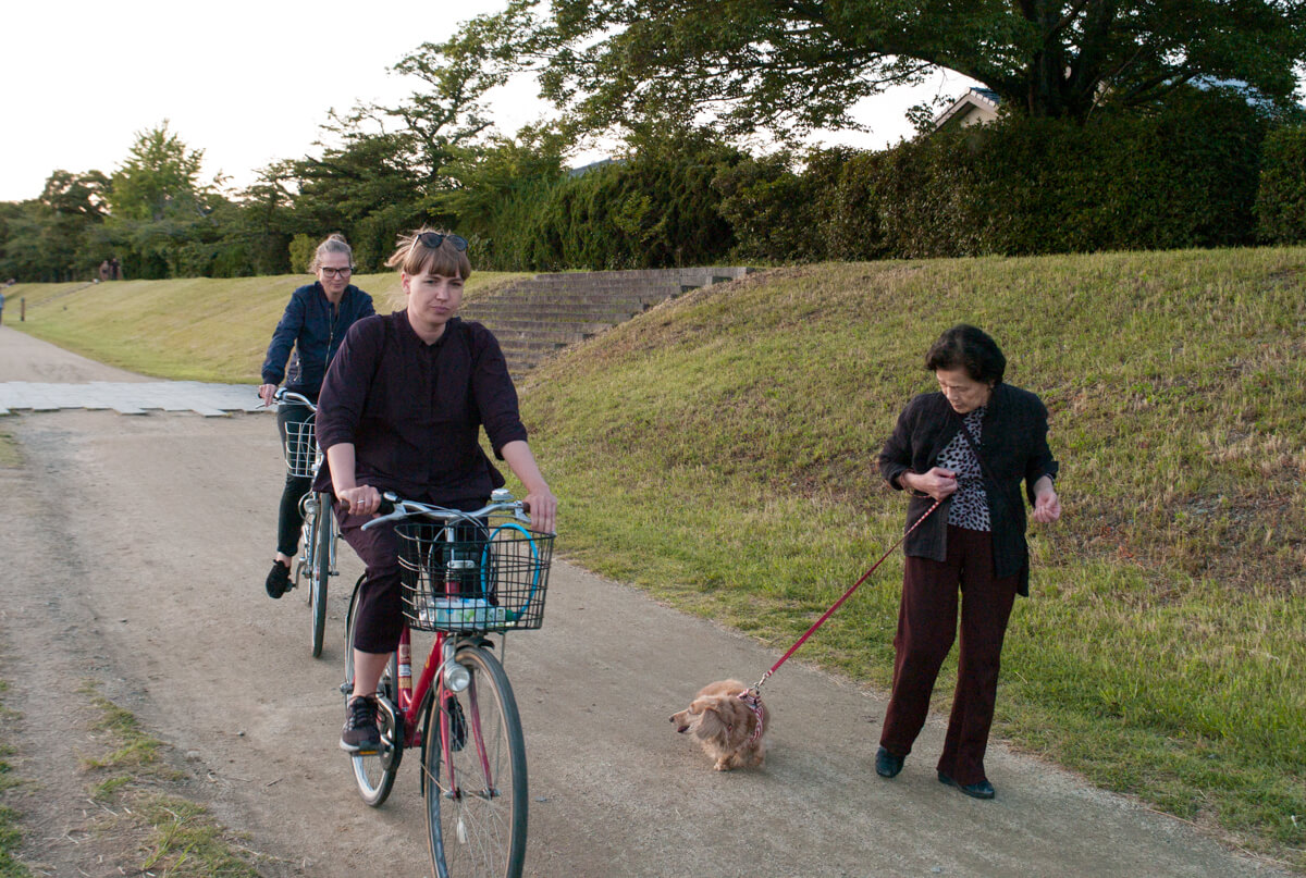 f:id:kkzy9:20160605210022j:plain