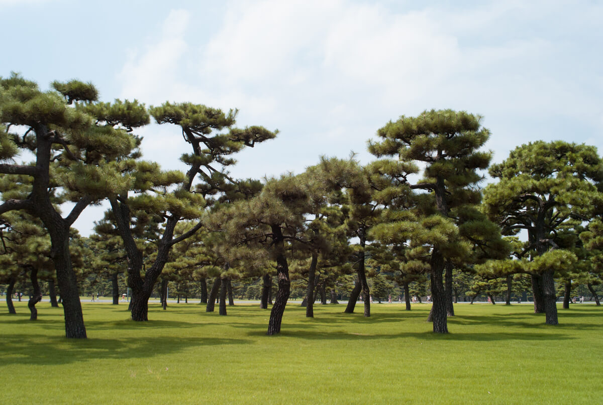 f:id:kkzy9:20160810165845j:plain