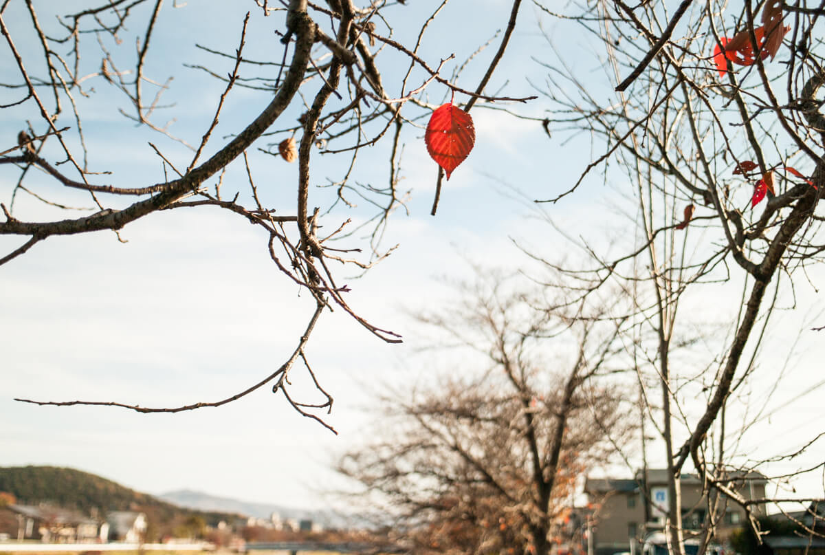 f:id:kkzy9:20161202194516j:plain