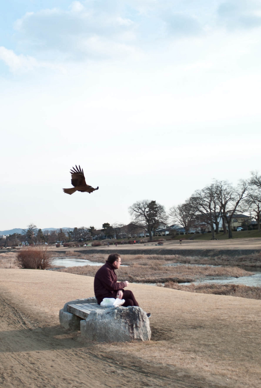 f:id:kkzy9:20180201202019j:plain