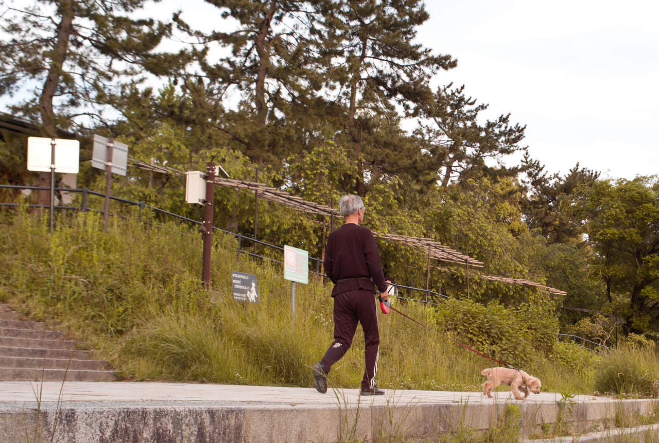 f:id:kkzy9:20180517121829j:plain