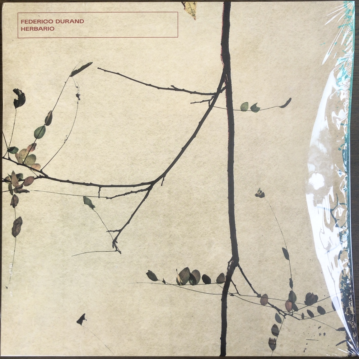 f:id:kkzy9:20210710132930j:plain