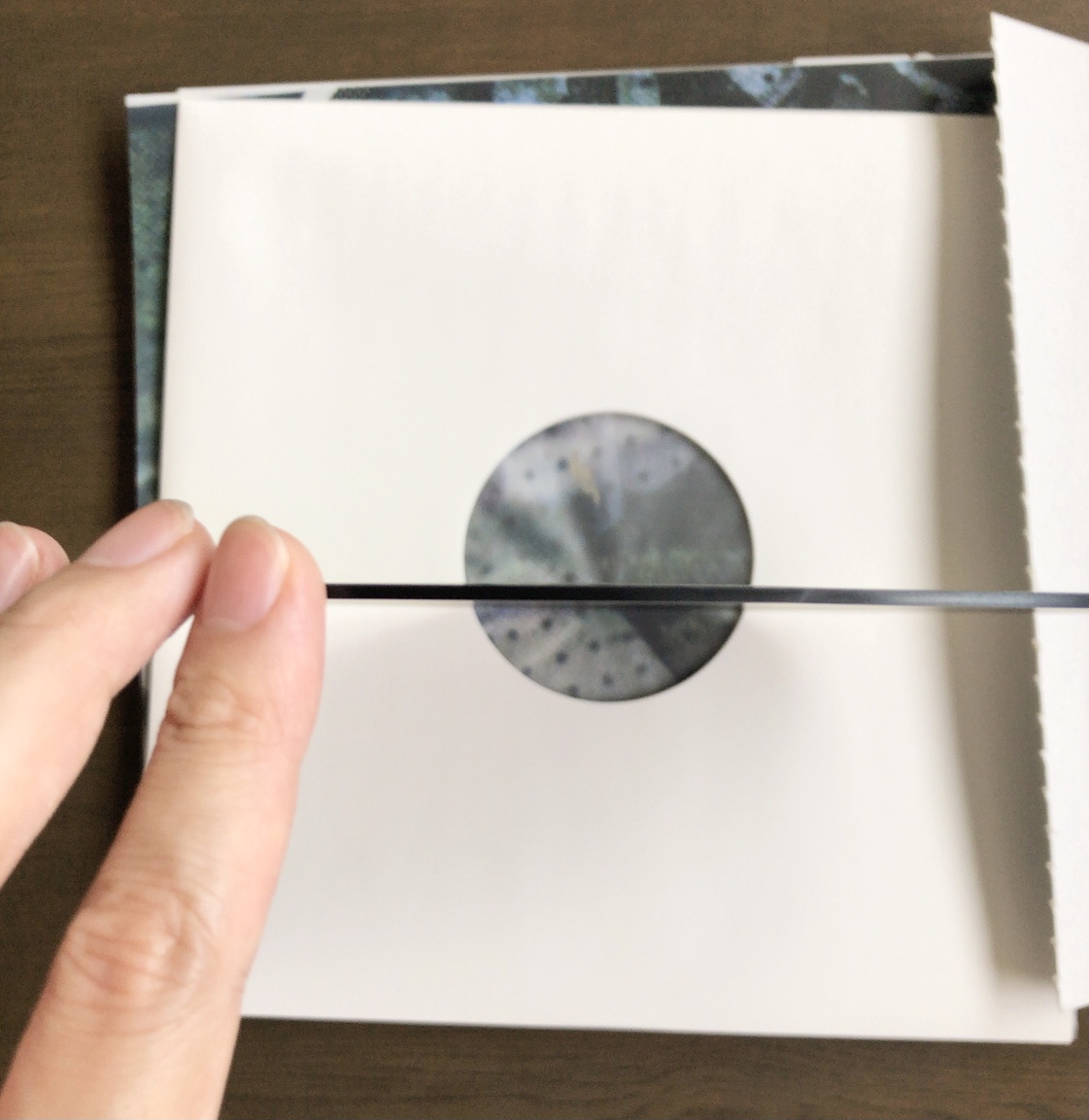 f:id:kkzy9:20210924170102j:plain