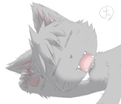 f:id:kl117cr233:20180522000340j:plain f:id:kl117cr233:20180522000340j:plain