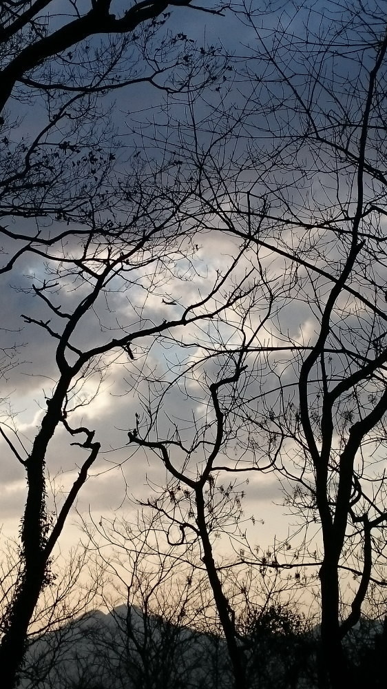 f:id:kl117cr233:20190205192513j:plain