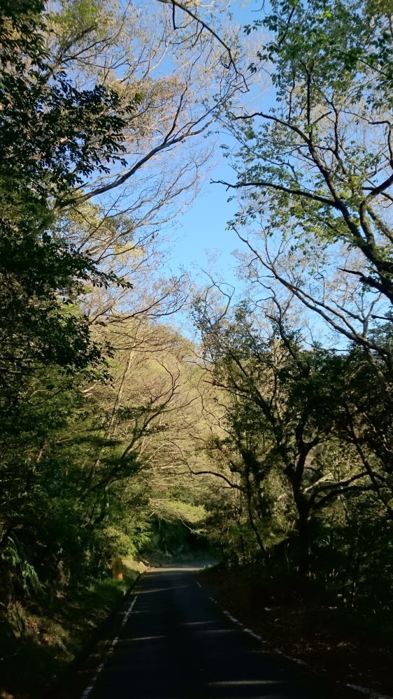 f:id:kl117cr233:20190416225759j:plain f:id:kl117cr233:20190416225759j:plain