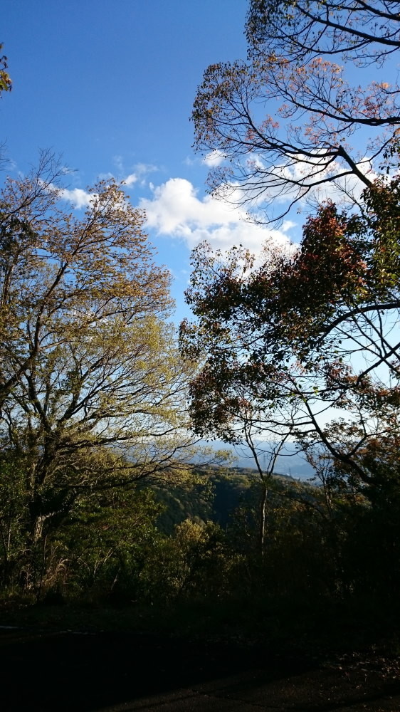 f:id:kl117cr233:20190416225933j:plain f:id:kl117cr233:20190416225933j:plain