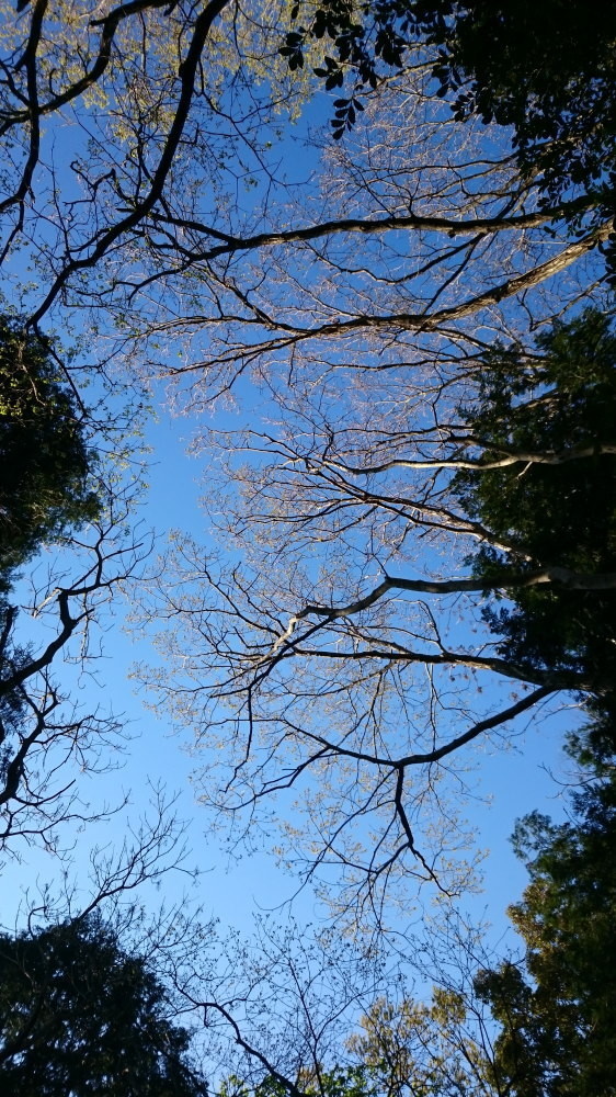 f:id:kl117cr233:20190416230026j:plain f:id:kl117cr233:20190416230026j:plain