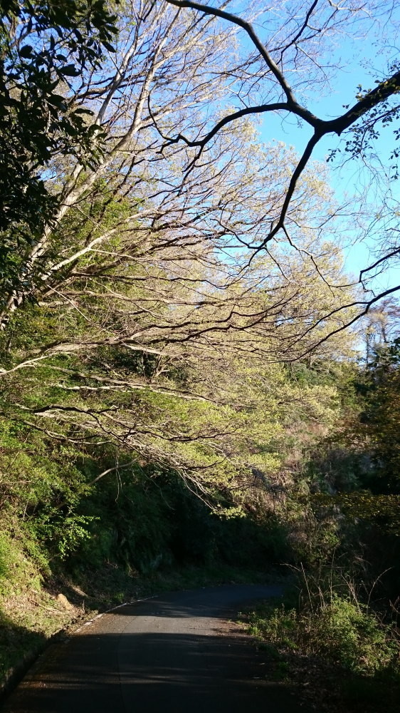 f:id:kl117cr233:20190416230107j:plain f:id:kl117cr233:20190416230107j:plain