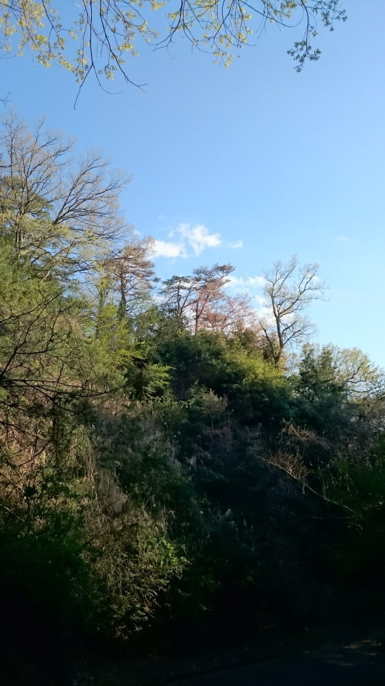 f:id:kl117cr233:20190416230332j:plain f:id:kl117cr233:20190416230332j:plain