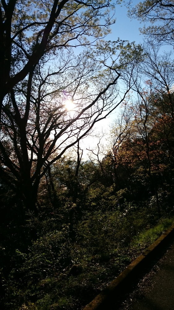 f:id:kl117cr233:20190416230713j:plain f:id:kl117cr233:20190416230713j:plain