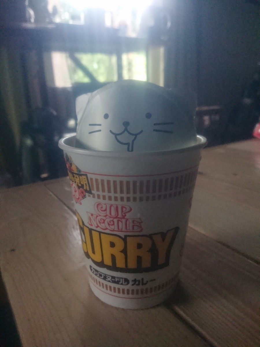 f:id:kl117cr233:20211029121926j:plain