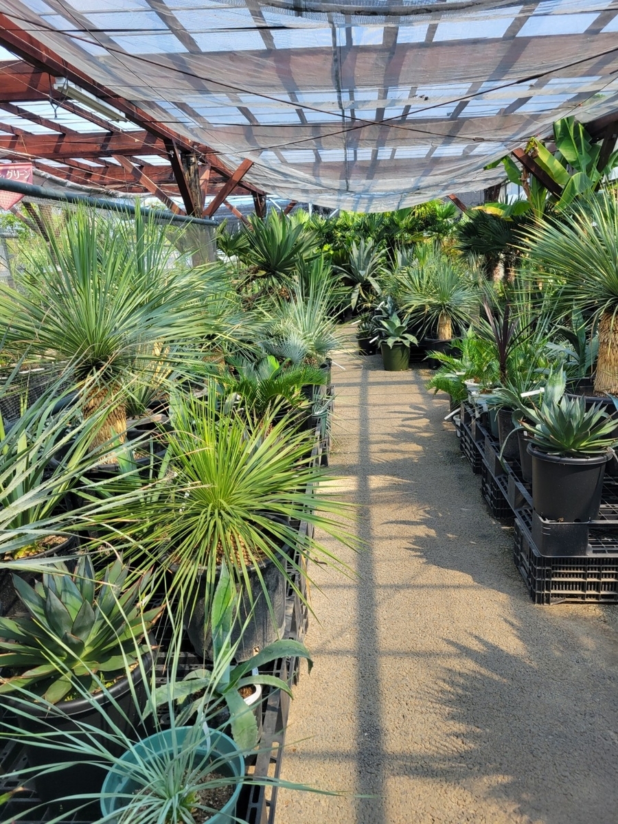 店内売り場