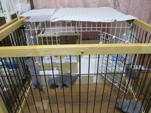 f:id:klavier64:20180725222707j:plain