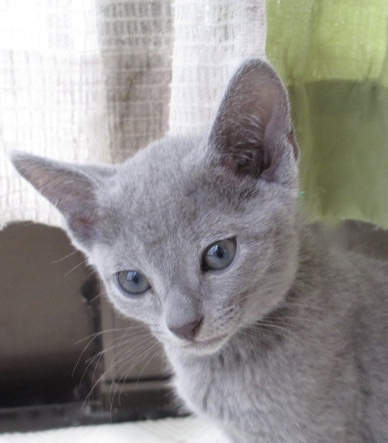 f:id:klavier64:20180823153006j:plain