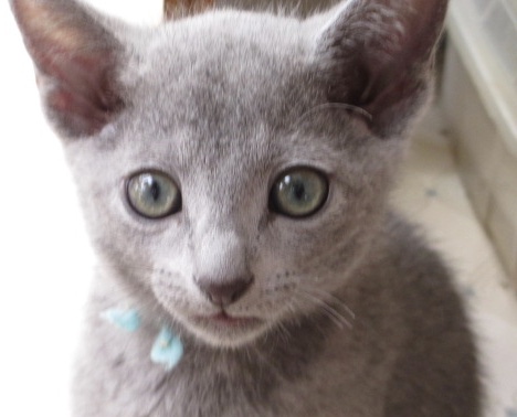 f:id:klavier64:20180823153202j:plain