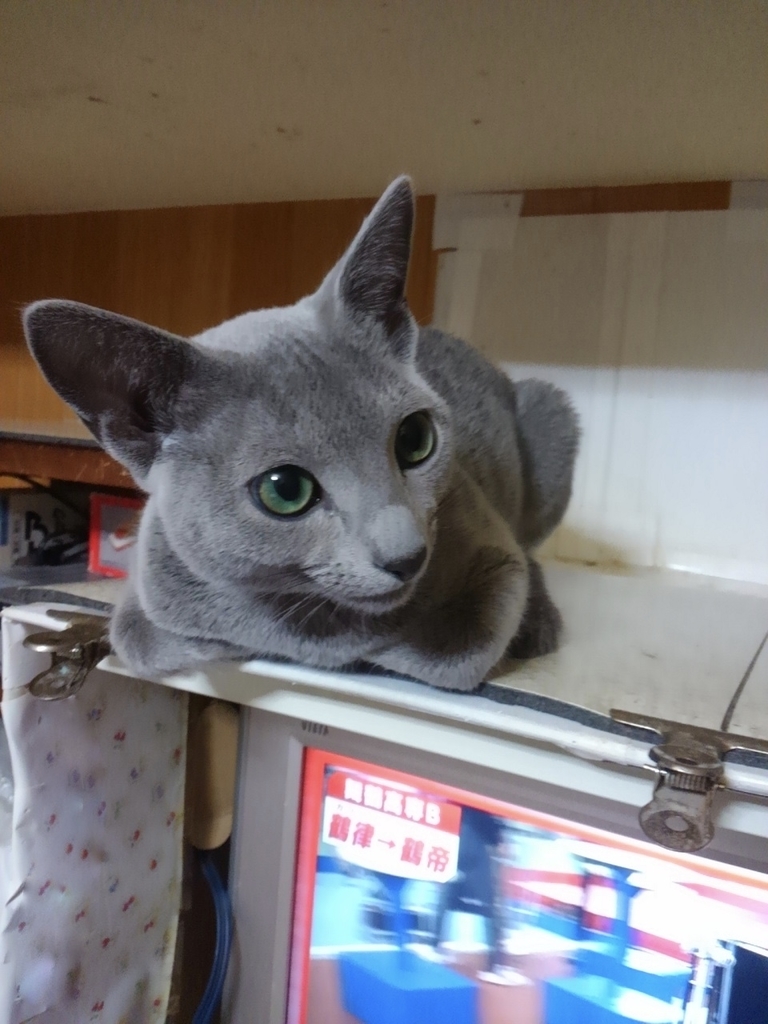 f:id:klavier64:20181223160543j:plain