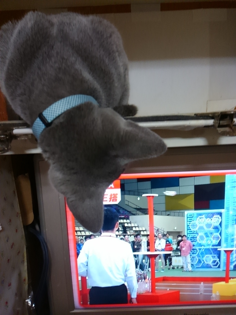 f:id:klavier64:20181223160901j:plain