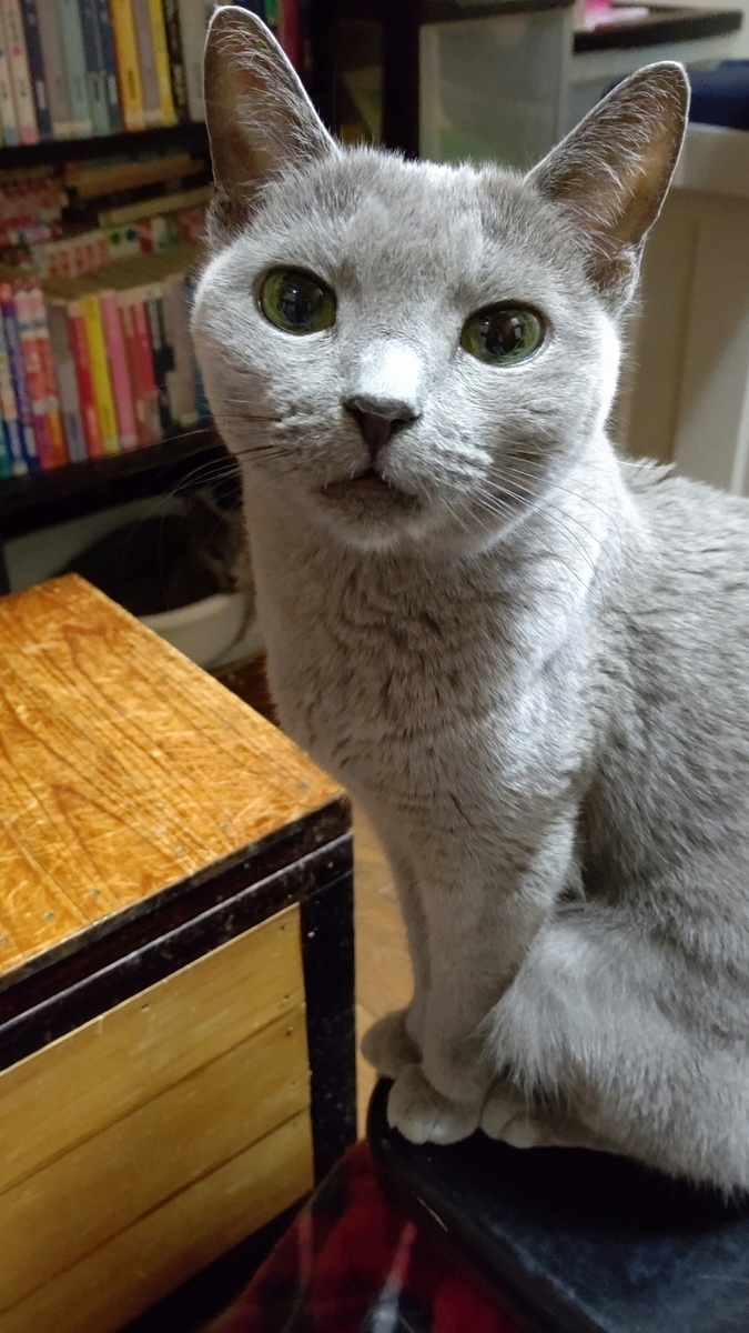 f:id:klavier64:20191007223800j:plain