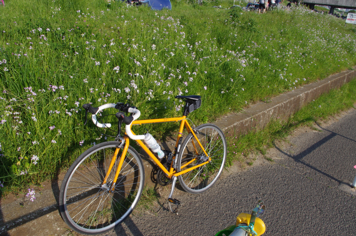 f:id:klincy:20130428162621j:image f:id:klincy:20130428162621j:image